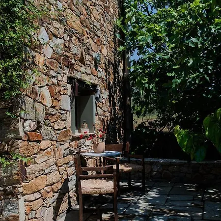 Holiday home Almond House