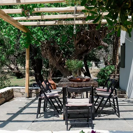 Almond House Ferienhaus Skyros